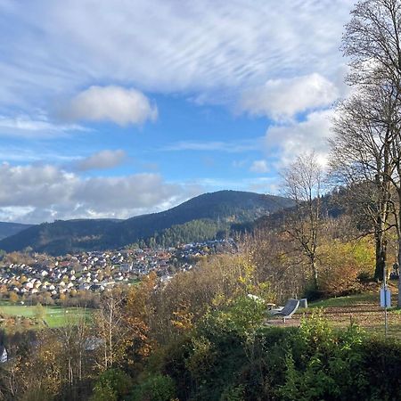 Ferienwohnung Das Nest Schiltach Dış mekan fotoğraf