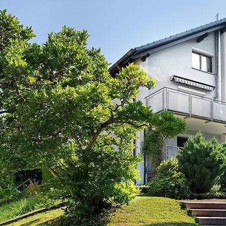 Ferienwohnung Das Nest Schiltach Dış mekan fotoğraf