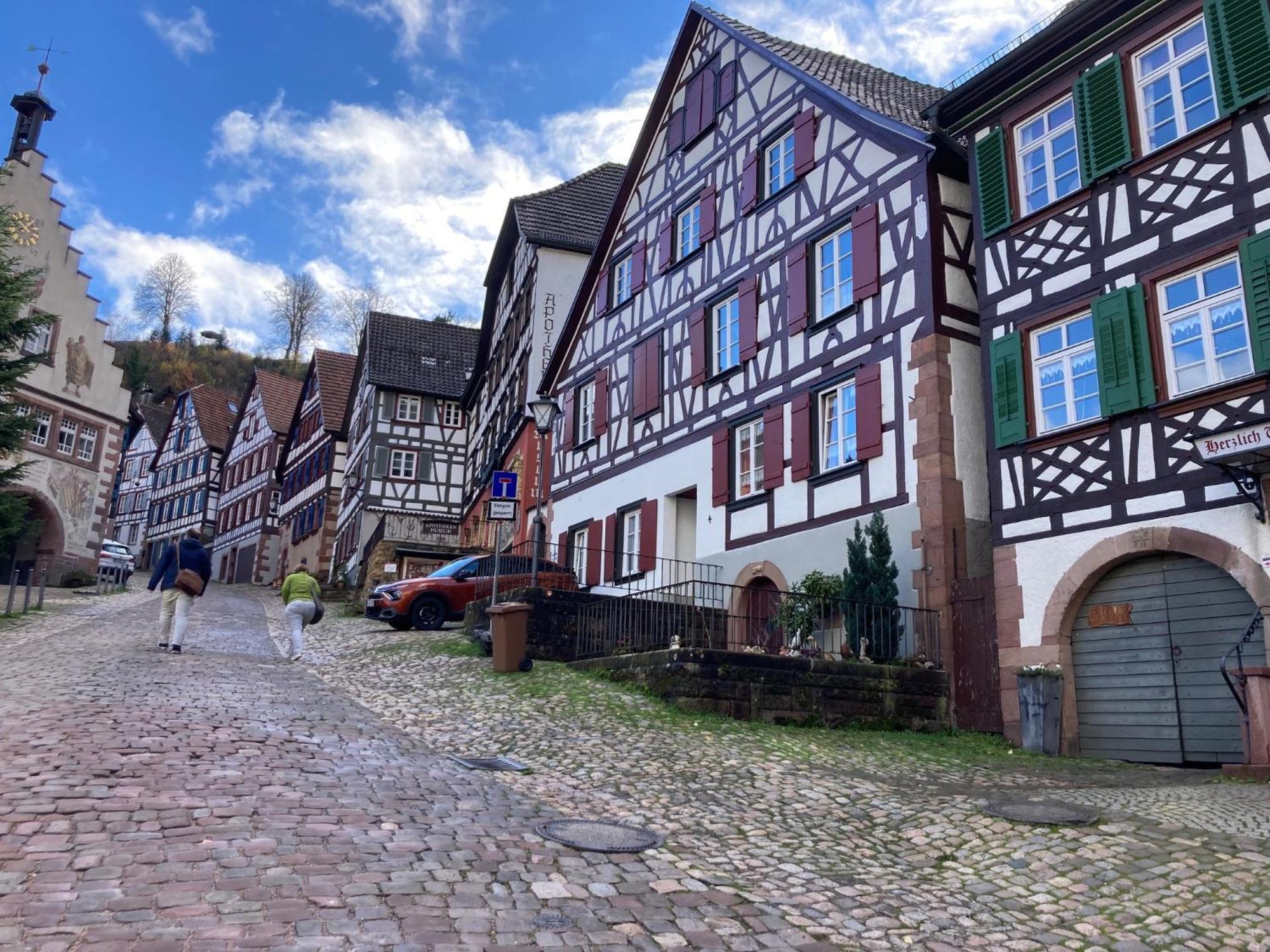 Ferienwohnung Das Nest Schiltach Dış mekan fotoğraf